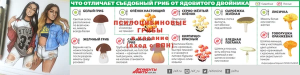 кокс Алексин