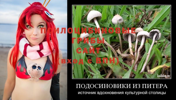 кокс Алексин