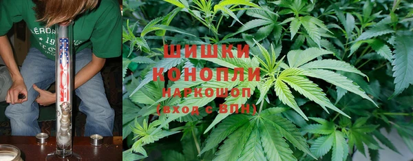 хмурый Няндома